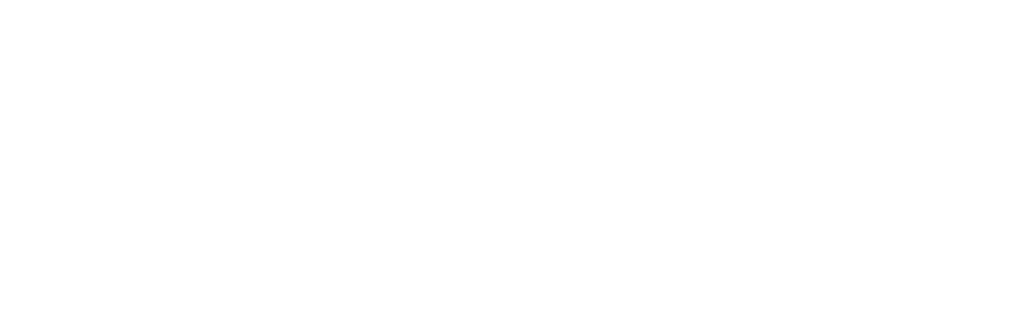 01 Logo Footer