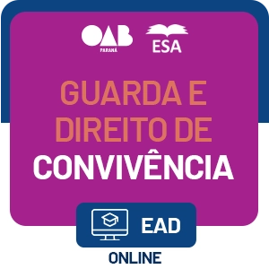 Guarda e Direito de Convivência: técnicas, jurisprudência e aplicação do protocolo de julgamento sob perspectiva de gênero