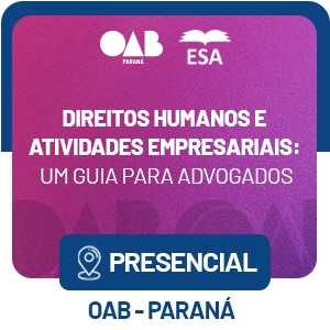 5509 Direitos Humanos e Empresas: Um Guia para a Advocacia