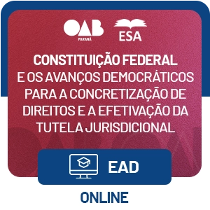 Constituição Federal e os avanços democráticos para a concretização de direitos e a efetivação da tutela jurisdicional